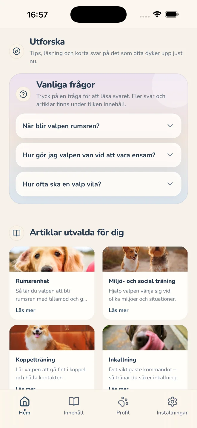 Guider att återvända till