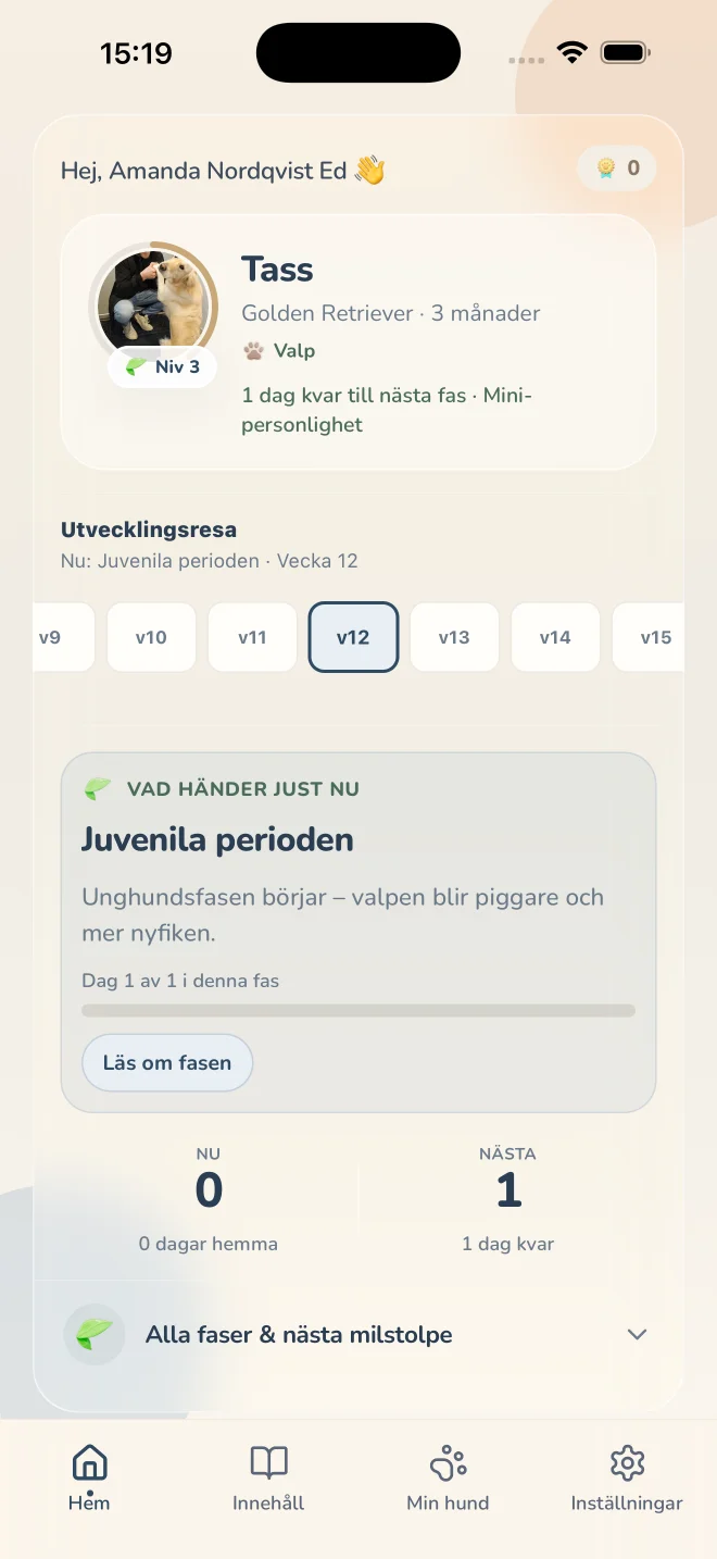 Hundens utveckling